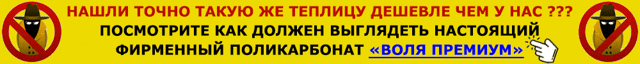 Рухнула теплица "Воля". Как быть?