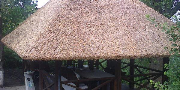Крыша из камыша своими руками – конструкция и технология монтажа (видео, фото)
