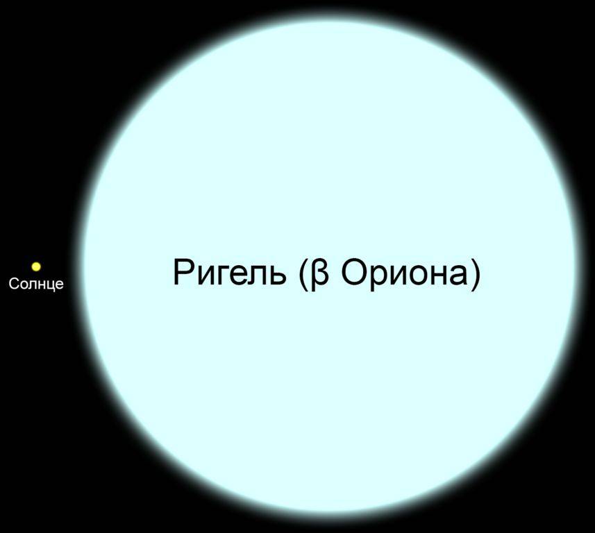 Что такое ригель