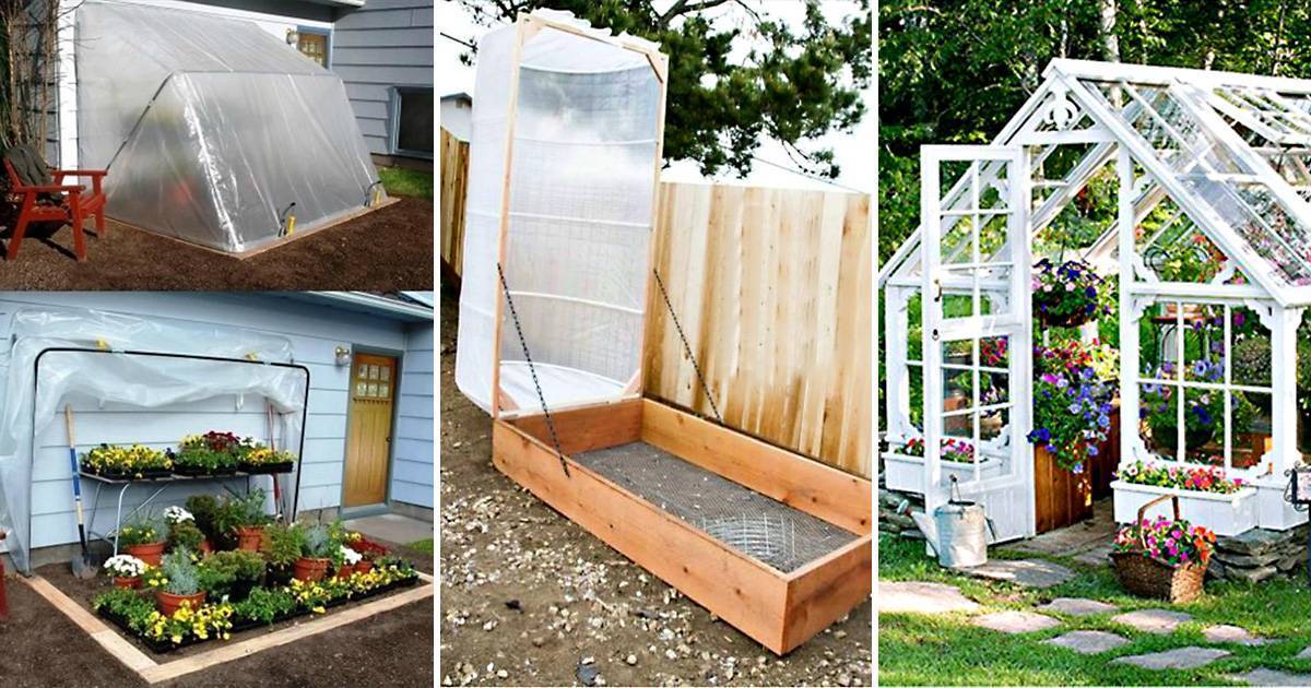 Парник своими руками: для огурцов, помидор, перца, рассады, в огород, на балкон