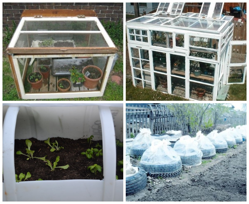 Мини-парник своими руками: инструкция с фото