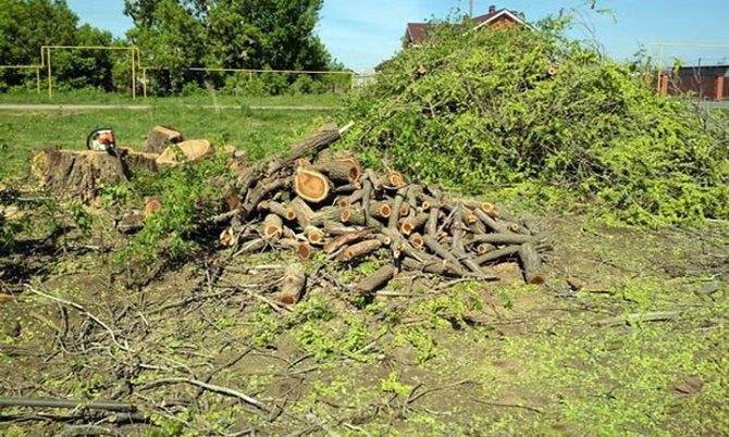 Грунт для газона