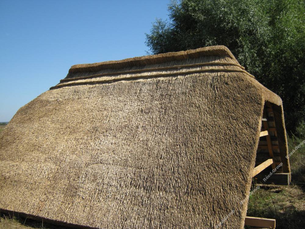 Крыша из камыша: плюсы и минусы, особенности монтажа | дом мечты