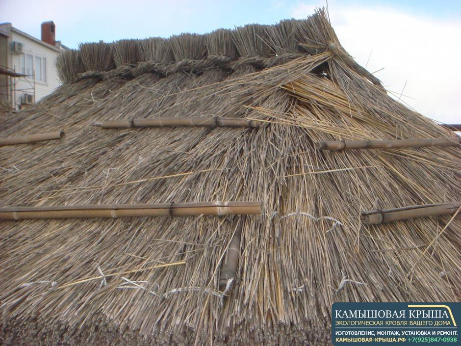Крыша из камыша своими руками— экологично и красиво